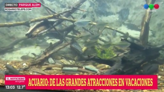 Reabrió el Acuario del Río Paraná