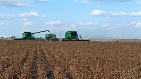 El precio de la soja del último mes de junio fue el más alto en ocho años