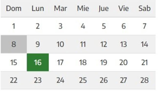 El 16 de agosto será feriado y quedarán 6 hasta fin de año