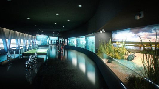 El Acuario del Río Paraná reabre sus puertas al público