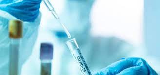 Coronavirus: un medicamento reduce la carga viral un 99% y arranca el testeo en humanos