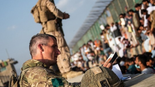 Reino Unido anunció que evacuará a perros y gatos de Kabul