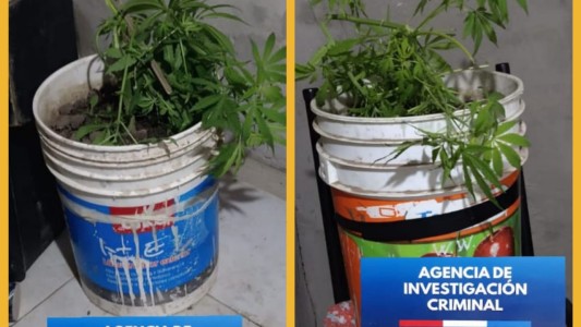 Detienen a un ladrón con joyas, dinero en efectivo y marihuana