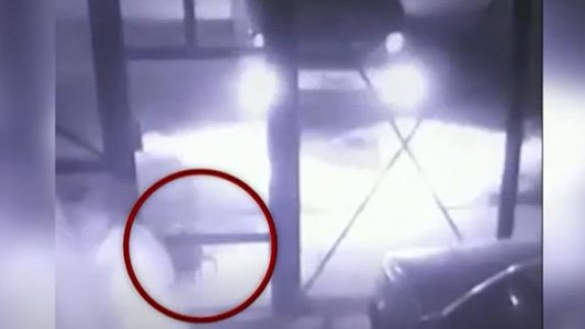 Video: Para robar un auto mataron al perro de la familia