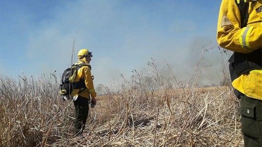 Fuego en las islas: la Brigada Forestal se sumó al combate