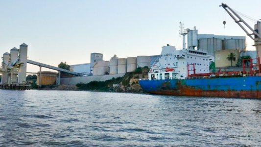 El Banco Central sancionó a cuatro empresas por no ingresar las divisas de exportaciones