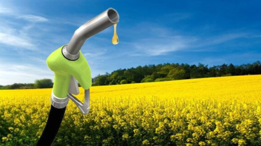 Oficializaron los aumentos en los precios del bioetanol y el biodiesel