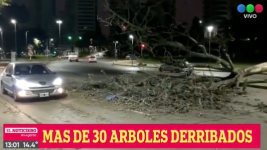 Alerta amarilla con fuertes vientos en Rosario