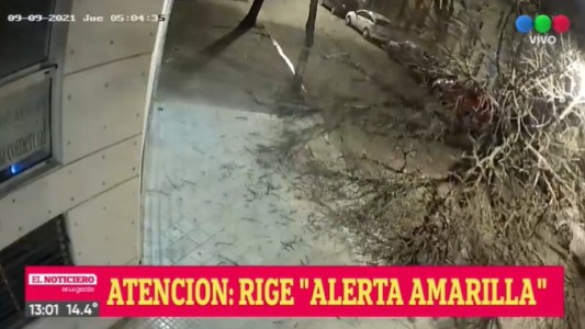 El viento no para y hay árboles caídos, vidrios rotos y voladura de persianas