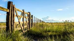 La actividad inmobiliaria rural cayó un 4% y llegó al nivel más bajo del año