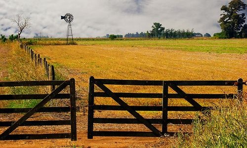 El campo enciende alarmas ante la crisis institucional del gobierno tras la derrota en las PASO