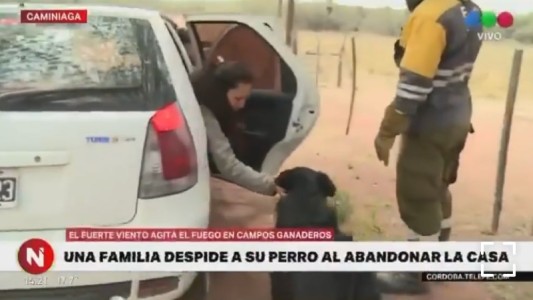 Video: El desgarrador momento en que una familia se despide de su perro entre el fuego