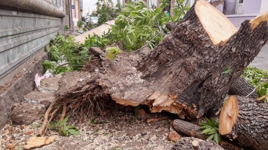 Múltiples destrozos en la ciudad tras el temporal
