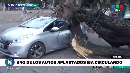 Con ráfagas que superaron los 80 km/h, el temporal de viento tuvo consecuencias importantes en Rosario