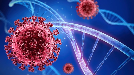 Confirmaron 19 muertes y 1.373 contagios en las últimas 24 horas
