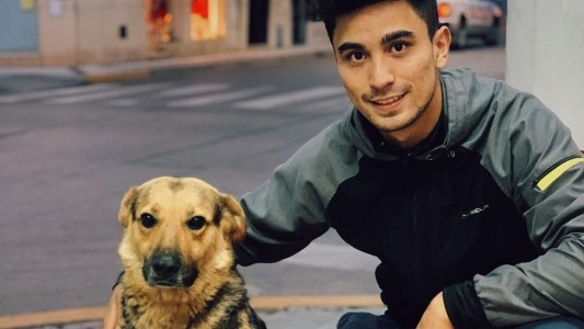 Paleta: el perro argentino que es furor en Tik Tok