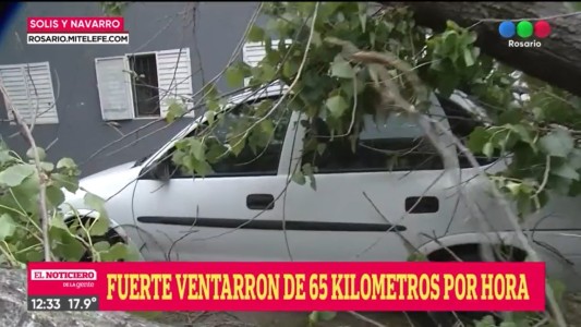 Arboles y cables caídos por la tormenta de viento