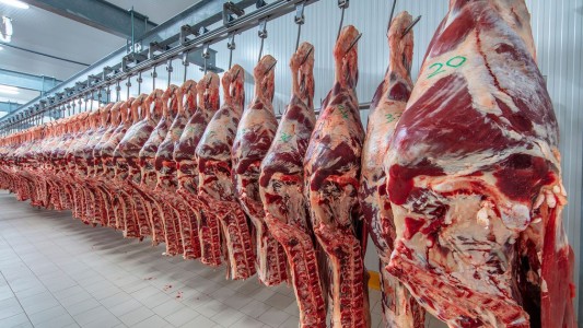 El Gobierno busca evitar nuevas subas en el precio de la carne