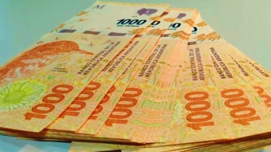 Descubrí si cobrás el extra de hasta $12.000 en enero