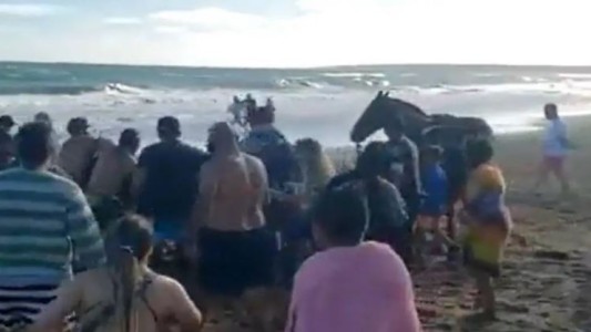 ¿Mar del Plata o el Lejano Oeste? fue a la playa a caballo y turistas intentaron detenerlo a los golpes