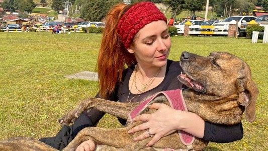 “Fue un segundo”: actriz mexicana contó que un cocodrilo devoró a su perra