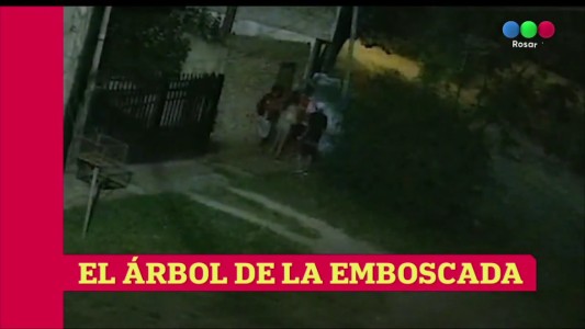 Delincuentes sorprenden a vecinos desde atrás de un árbol para robarles