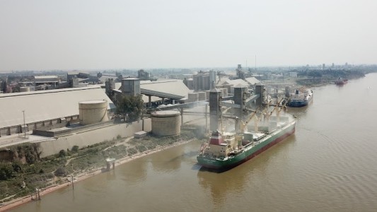 Por el aumento de casos, empresas exportadoras de granos y aceiteras piden poder utilizar los auto tests