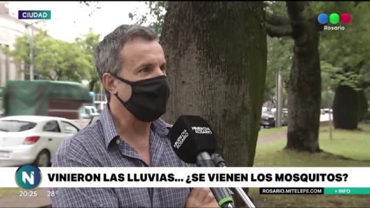 Las altas temperaturas y la humedad incentivan la crianza de larvas