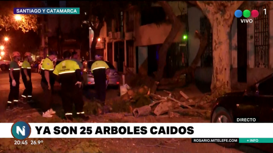 Se levantó el viento y dejó 25 árboles caídos