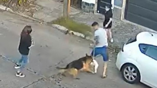 "No sé qué hacer": habló la dueña de los ovejeros que mataron a un caniche en la calle