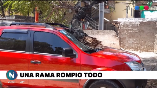 Una rama cayó sobre un auto y cortó cables de luz