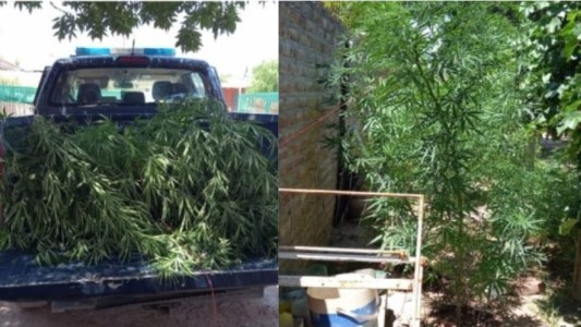 Denunció al vecino por el fuerte olor en su vivienda: qué encontró la Policía