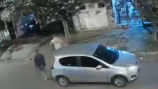 Ladrones armados desvalijaron la casa de una mujer: al irse, le pidieron perdón