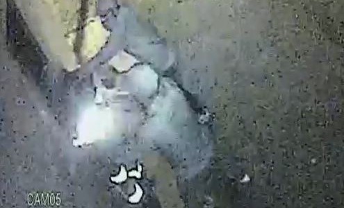 Violencia sin fin: golpearon a un barrendero para robarle