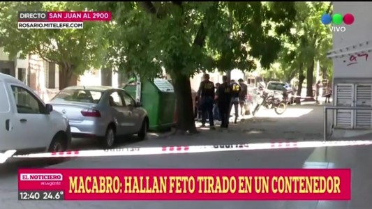 Macabro: hallaron un feto tirado en un contenedor