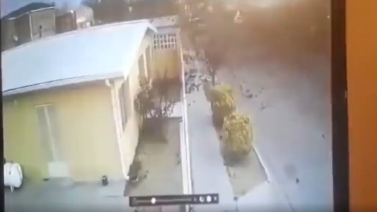 Revelaron el por qué de la "lluvia" de pájaros en México