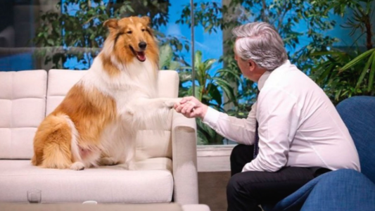 "Yo busqué al mejor y es él”: Aníbal Fernández sobre el adiestrador de Dylan en el Ministerio de Seguridad