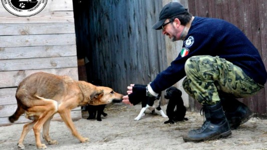 Un héroe italiano prefiere morir a abandonar a sus 400 animales en Kiev