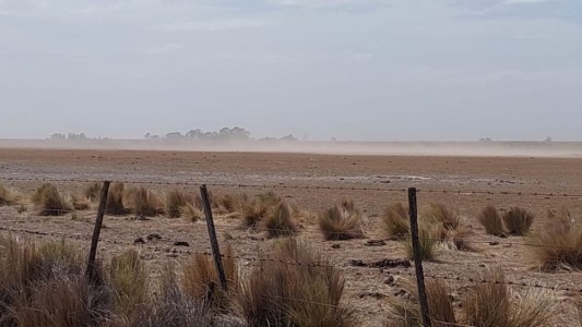 El Ministerio de Agricultura declaró la emergencia agropecuaria en Patagones