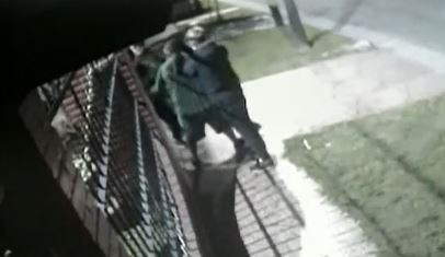 Video: violento ataque piraña a un jubilado en Morón