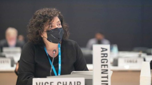 Vizzotti confirmó que hay más de un virus respiratorio en circulación e insistió en el uso del tapabocas