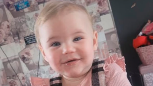 Adoptaron un perro y a la semana mató a su bebé de un año