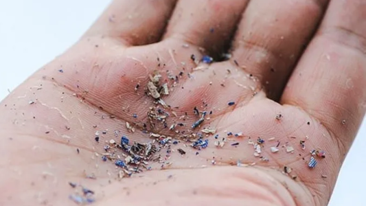 Hallaron por primera vez microplásticos en la sangre humana