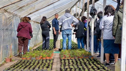 Abre la inscripción para capacitaciones en la Escuela de Jardinería municipal