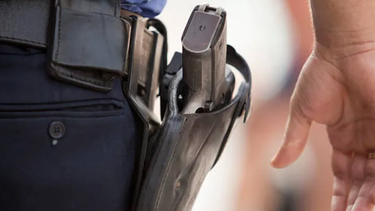 Catamarca: un Policía mató al perro de la vecina con su arma reglamentaria