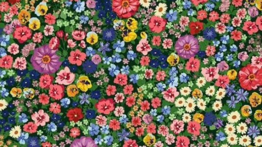 Encontrá la abeja en el jardín en menos de 10 segundos