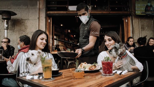 Abren registro en Rosario de alojamientos, bares y restaurantes pet friendly