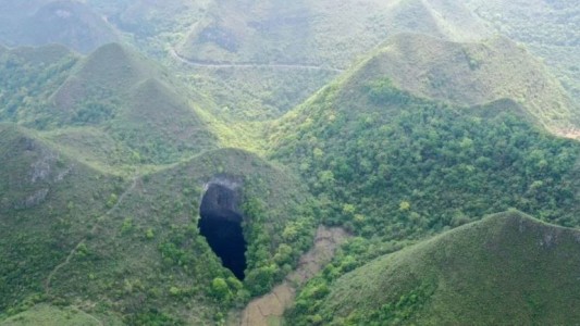 Descubren un gigantesco bosque en el interior de una montaña