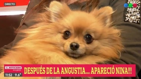 Apareció Nina, la perrita que fue robada del interior de un auto