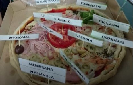 Un profesor enseña ciencias naturales a través de "maquetas gastronómicas"